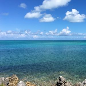 Meet your Posher, Hayes